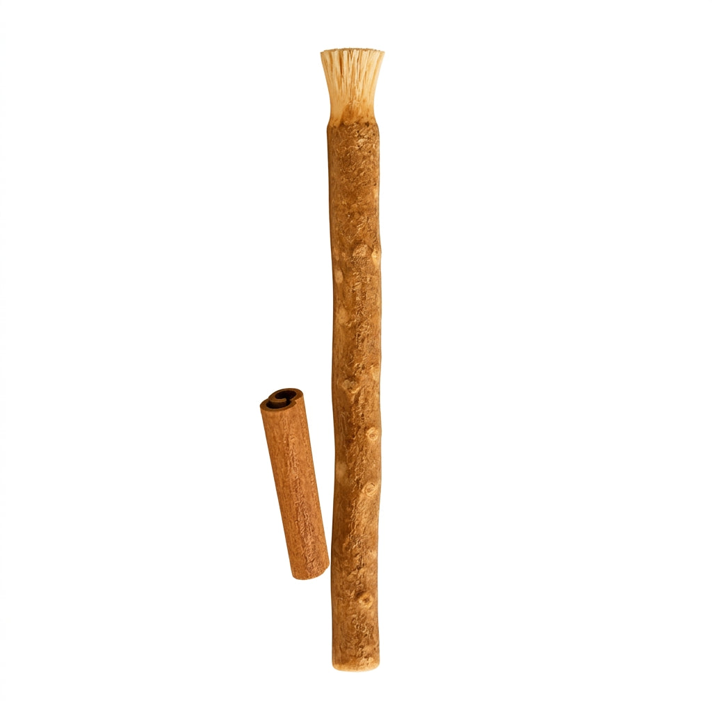 MISWAK Cinnamon stick