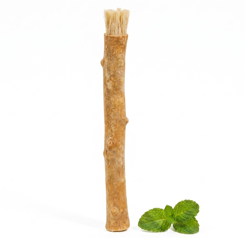 MISWAK Pack of Three natural dog chew toy shaped like a textured tree branch with tan bristles and a mint leaf on a white background.