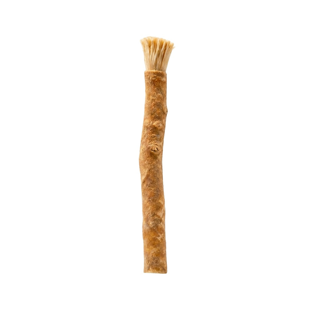 MISWAK Original stick
